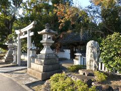 城陽kyotoいちじくfactory Morishima Heibei Farm Direct Shop Joyo Kyoto Jp 八幡 城陽 京都 の旅行記 ブログ By ちふゆさん フォートラベル 城陽kyotoいちじくfactory Morishima Heibei Farm Direct Shop Joyo Kyoto Jp 八幡 城陽 京都 の旅行記 ブログ By ちふゆさん フォートラベル