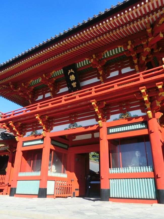 GoTOで神奈川1泊2日の旅。<br />1日目は横須賀を、2日目は鎌倉と湘南を観光した。<br />楽しみにしていた江ノ電や、湘南モノレールにも乗ることが出来た。<br />大好きなクラゲにも会えたしね。<br /><br />そこまでは順調だったのだが…((+_+))<br /><br />今回の旅の新幹線は往復ともに、指定されている車両にしか乗れない。<br />久しぶりにアクシデントに見舞われ、復路の新幹線に乗り遅れるかと冷や汗をかいたわ。<br />(;゚Д゚)