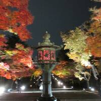 京都紅葉の旅　高雄&#12316;京都市内散策　２日目　南禅寺・インクライン・永観堂・仁和寺・京都グランヴィアホテルに泊まる