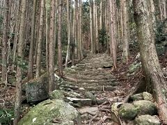 三重県南端・和歌山県の自然～野趣溢れ荒々しい美しさ～①松本峠（熊野古道）