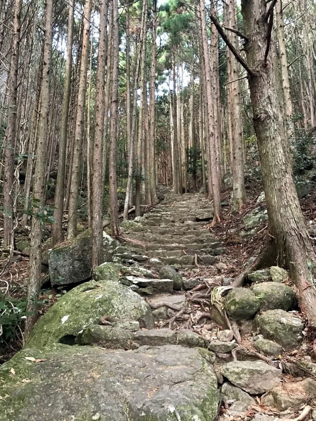 三重県南端・和歌山県の大自然シリーズ。特に心動かされたスポットのみ投稿。<br /><br />松本峠。いにしえの人々が熊野速玉神社に思いを馳せながら通った熊野古道。所要時間は1.5時間ほど。<br /><br />歩道は整備されているものの、あまり人が来ないのか、野趣あふれている。驚いたのは、他の観光客に誰1人会わなかったこと、いくら冬でコロナ禍とはいえ。。そのおかげで、大自然や神聖な雰囲気を存分に堪能できた反面、薄暗い山道は若干恐ろしくもあった。<br /><br />鹿らしき動物の鳴き声や走る音がときたま聞こえた。狩猟禁止の看板を見かけた。召膳無苦庵の大将いわく、動物保護ではなく観光客に流れ弾が当たったら大変なので、この辺り狩猟禁止としているそう。<br /><br />大自然に触れるのって気持ちが良く、絶好のリフレッシュ。まったく興味なかった山登りにも興味が出てきたし、1年に1回はこうして自然に触れてパワーをもらいたいと感じた。<br /><br />表紙写真は松本峠の入口付近。<br />