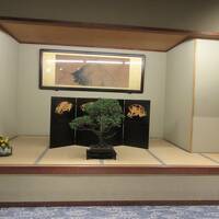 山代温泉 吉田屋 山王閣に関する旅行記 ブログ フォートラベル 山代温泉