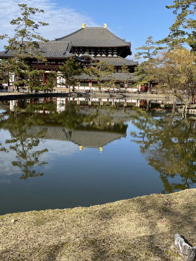 今年の冬休みは初詣の混雑を避け年末詣で奈良と和歌山へ。奈良では奈良公園の鹿とふれあい、世界遺産を巡りました。和歌山では絶景を堪能し、とれとれ市場で新鮮な魚介類をお土産に購入しました。年末とは思えない程暖かく、穏やかな年末の一時を過ごす事が出来ました。