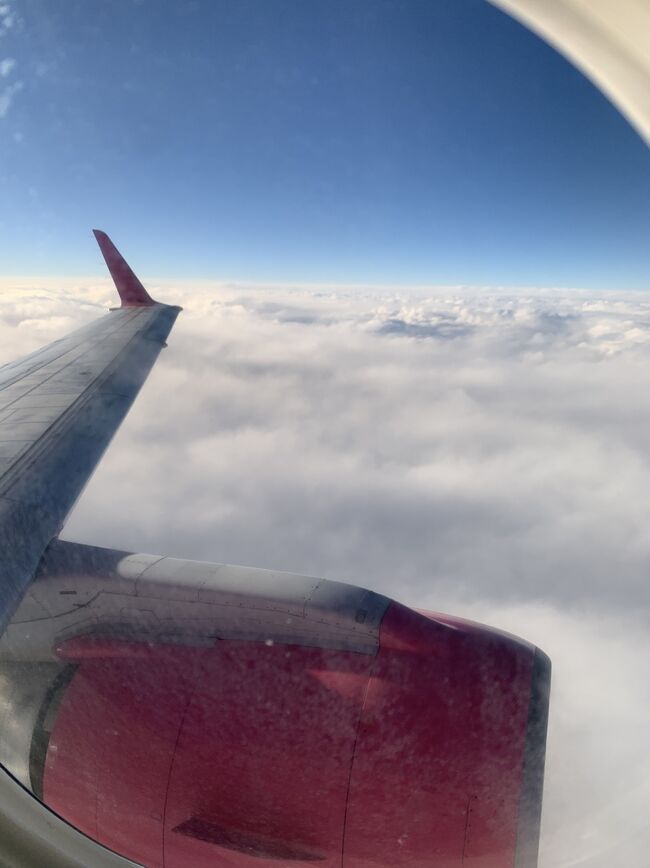 コロナ禍な世の中です。<br />今年なかなか行く事が出来なかった旅行ですが、娘の「推しのラストライブに行きたい」という言葉のおかげできっかけが出来て久々の旅行ができました。<br /><br />11月頭に予約を始めたのですが、出発日までの期間が短いので航空機の値段もそれなりでした。<br />GO TOキャンペーンとマイルを使用して価格を抑える事が出来たのが強みでした。<br /><br />12月半ばに12月28日からGO TOキャンペーンが一時停止と発表された際には「ギリギリ行ってこれる」と声に出してしまいました笑笑<br /><br />最初で最後の娘との旅行になるのかな~??