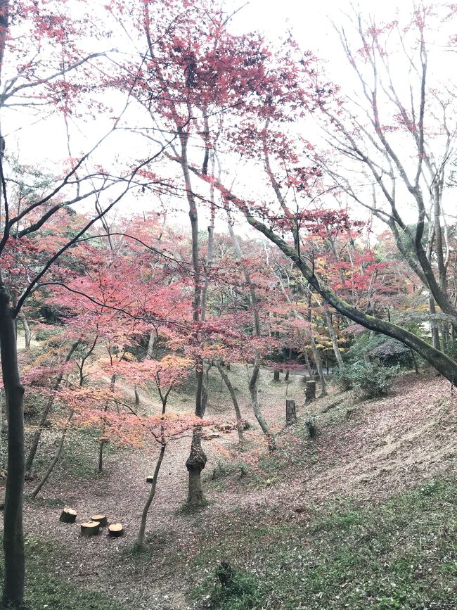 中日新聞に日長神社すぐ近くに紅葉谷の紅葉がとても綺麗だということで訪れました。