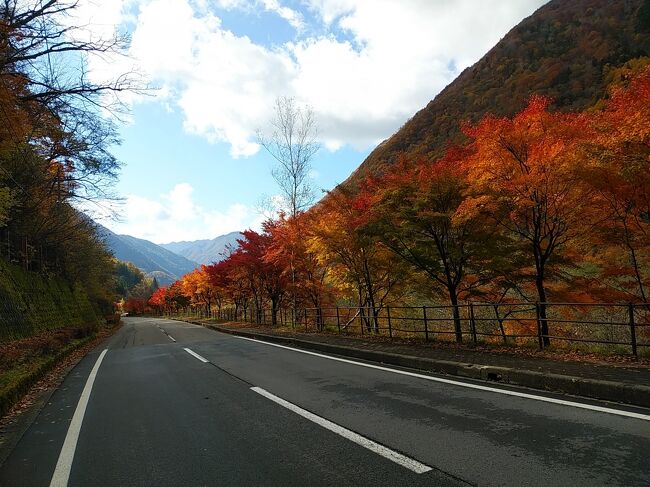 11月2日が月曜日なので、この日に休暇を取って4日間マイカーで主に紅葉巡りを楽しみました。この時期に紅葉真っ盛りなエリアで首都圏から多少離れたエリアを調べると、飛騨が目に付きました。そして4日間あるので飛騨の手前にある上高地と、飛騨から富山県、石川県、福井県へも道路で繋がっているので行きました。<br />現地ではどこの道路を通ってもピークで艶やかな紅葉が何十キロも視野に入り、まるで別世界のような光景でした！その他、久しぶりに行った上高地は雪が少し被った3,000m級のアルプスが超美しく見え、2つ訪れた城も見事でした。そして2泊した温泉、グルメも十分楽しみました。<br /><br />---------------------------------------------------------------<br />スケジュール<br /><br />　10月31日　自宅－（自家用車）沢渡駐車場－（シャトルバス）<br />                  上高地観光－高山　[高山泊]<br />　11月1日　高山観光－飛騨美濃せせらぎ街道観光－荘川観光－白川郷観光<br />　　　　　　－菅沼合掌造り観光－相倉合掌造り観光－白山一里野温泉<br />　　　　　　[白山一里野温泉泊]<br />　11月2日　白山一里野温泉－手取湖観光－越前大野観光－九頭竜観光－<br />　　　　　　郡上八幡観光－新穂高温泉　[新穂高温泉泊]<br />★11月3日　新穂高観光－平湯温泉入浴－自宅