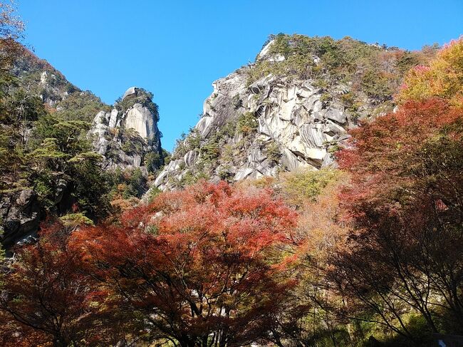 11月中旬になり、紅葉前線が山梨まで下りてきました。晴れの予報が出ていることもあり、山梨県の紅葉の名所である昇仙峡へ行きました。昇仙峡を訪れるのは、いつ以来か忘れているほど久しぶりです。<br />入口からロープウェイまで清流沿いを往復4キロずっと歩き、ロープウェイにも乗って展望台からの景色も眺めました。清流沿いにはピークの美しい紅葉並木がずっと続き、川には奇岩がいくつもあって素晴らしい光景でした。特にメインスポットの巨岩の覚円峰と紅葉のコラボの美しさは格別ものでした。またロープウェイからは富士山と南アルプス連峰が綺麗に見えて、気分爽快でした。<br /><br />---------------------------------------------------------------<br />スケジュール<br /><br />★11月14日　自宅－（自家用車）双葉スマートIC－昇仙峡観光－<br />　　　　　　甲府昭和ICー自宅<br />