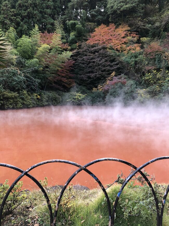 一度は訪れたかった場所でした。残念のがら湯布院と黒川温泉には入る時間もなく、別府と阿蘇の温泉に二泊だけしてきました。高千穂峡や金鱗湖、血の池地獄などはとても印象的でした。