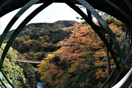 箱根登山鉄道に乗って、令和『阿房列車』の旅　２