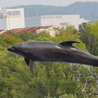 閉園前のみさき公園へ行ってきたお話 3 個性的なイルカパフォーマンスの部