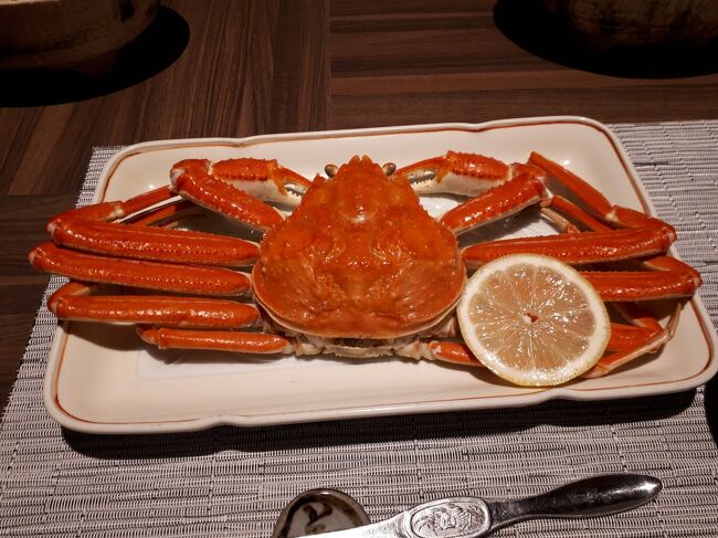 お出かけもできない今年の冬休み。2019年の冬休みを振り返ります。<br />金沢を観光してから、あわら温泉『まつや千千』に宿泊。蟹づくしのお食事と温泉でのんびり。<br />翌日はとっても寒い中、『一乗谷朝倉氏遺跡』と『永平寺』へ行ってきました。<br />