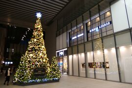 初冬の東京旅♪　Vol.10　☆丸の内仲通り：美しいクリスマスイルミネーション♪