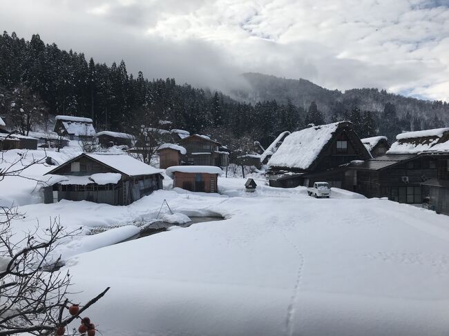 飛騨牛、アワビと富山湾鮨、ブリしゃぶ、白川郷、飛騨高山　こだわりグルメツアー（岐阜編）