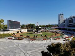 思い出の京都競馬場