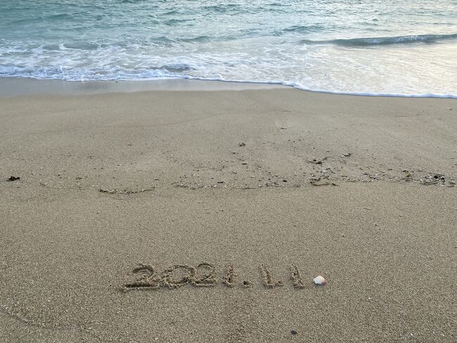 沖縄旅行②<br /><br />年末年始は働くものだったのですが…今年から仕事の種類が変わり、すっかり連休となりました。こんなご時世だから迷いましたが、 気をつけながら静かに旅行に行こうと決め、思い切って予約。暖かい年末年始を過ごせるのか…<br /><br />12/31 <br />NH463 羽田空港 07:25発> 那覇空港 10:20着<br />フジレンタカーで移動<br />ホテル: 名護 海人の宿<br /><br />1/1 <br />フジレンタカーで移動<br />ホテル: 那覇 パシフィックホテル沖縄<br /><br />1/2<br />フジレンタカーで移動<br />NH476 那覇空港 19:15発> 羽田空港 21:30着