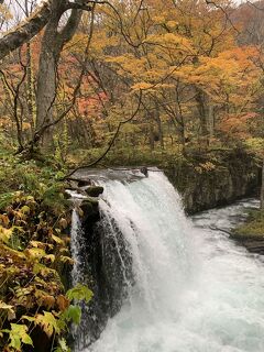 2020秋の青森旅行その6　紅葉狩りのはずが…大雨の奥入瀬渓流観光に！これは何の修行なの(T-T)