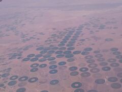 サウジアラビアの円形農場？