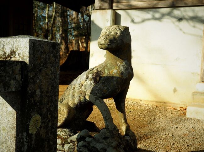 奥武蔵全山縦走、埼玉県人である私の積年の課題でした。<br /><br />出発時刻/高度: 02:00 / 109m<br />到着時刻/高度: 15:57 / 261m<br />合計時間: 13時間57分<br />合計距離: 36.67km<br />最高点の標高: 1283m<br />最低点の標高: 108m<br />累積標高(上り): 2600m<br />累積標高(下り): 2465m