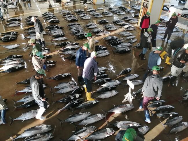 秋の那智勝浦 その2は勝浦漁港魚市場と道の駅 那智勝浦 太地 和歌山県 の旅行記 ブログ By さんじゃさん フォートラベル