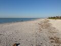 フロリダ州(和歌山県の姉妹都市) サ二ベル　ー　世界で3番目に貝殻の多いサ二べル島のビーチを楽しむ