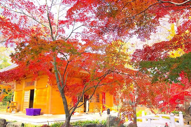 突然1日有給休暇を取ることができたので、紅葉狩りへ。<br />その後、恵比寿のビール記念館へ行って、ビールを飲んでまったりしました。