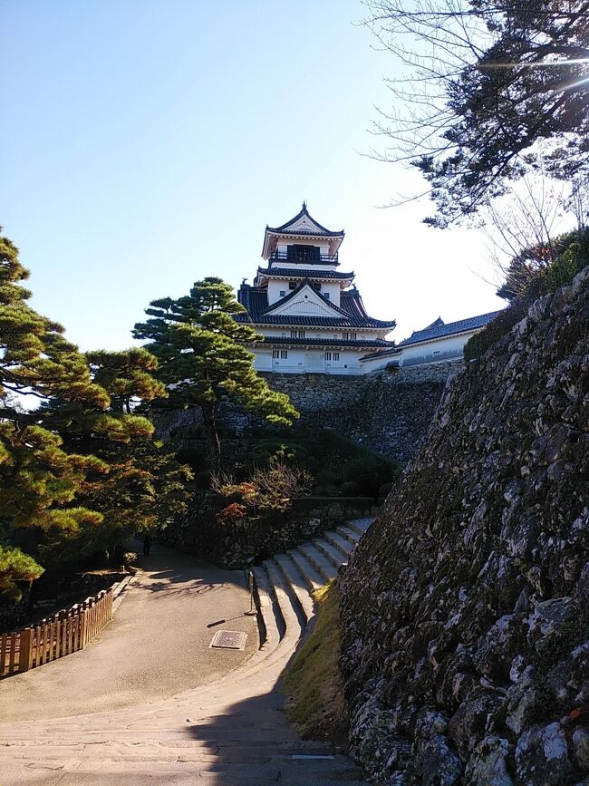 11月下旬の3連休も含めて2011年以来の四国、20年ぶりの高知、徳島県へ行ってきました。高知、徳島県を4トラに記載するのは初めてです。これで4トラに載せる旅行記が全47都道府県になりました。<br />観光は高知市内や足摺、初めて観光する四万十川や山岳地域の仁淀川渓谷、また久しぶりに徳島県の祖谷渓周辺です。現地4日間とも晴天に恵まれ、美しい高知城、足摺周辺の海岸線、山岳地域の雄大な自然、四万十川、仁淀川、吉野川など四国の川の美しさ、新鮮でおいしい海産物には実に感心させられました。<br /><br />---------------------------------------------------------------<br />スケジュール<br /><br />★11月20日　横浜駅－（夜行バス）　［車中泊]<br />★11月21日　－高知駅－高知市街観光ー（バス）桂浜観光ー高知市街観光<br />　　　　　　[高知泊]<br />　11月22日　高知駅前－（レンタカー）四万十川観光ー足摺観光<br />　　　　　　[足摺泊]<br />　11月23日　足摺観光－竜串観光－中津渓谷観光－安居渓谷観光－大歩危<br />　　　　　　[大歩危泊]　<br />　11月24日　大歩危観光－祖谷渓観光－落合集落観光－大歩危観光－<br />　　　　　　高知空港－羽田空港<br />　　　　　　