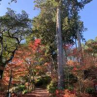 湖国の紅葉を巡る旅3　琵琶湖マリオットホテルと湖南三山常楽寺