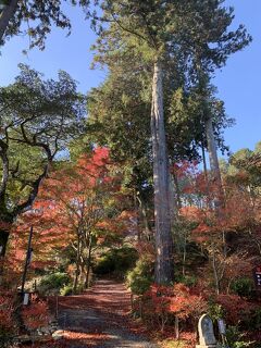 湖国の紅葉を巡る旅3　琵琶湖マリオットホテルと湖南三山常楽寺