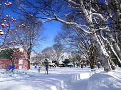 地元の雪景色