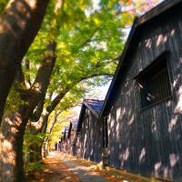 庄内の旅　紅葉の山居倉庫　湯野浜温泉游水亭いさごやで秋の馳走三昧