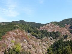奈良・吉野の桜を見に行ってみました。