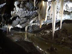 チェコ１０日間の旅（５）プンクヴァ洞窟、リトミシュル城、ブルノ