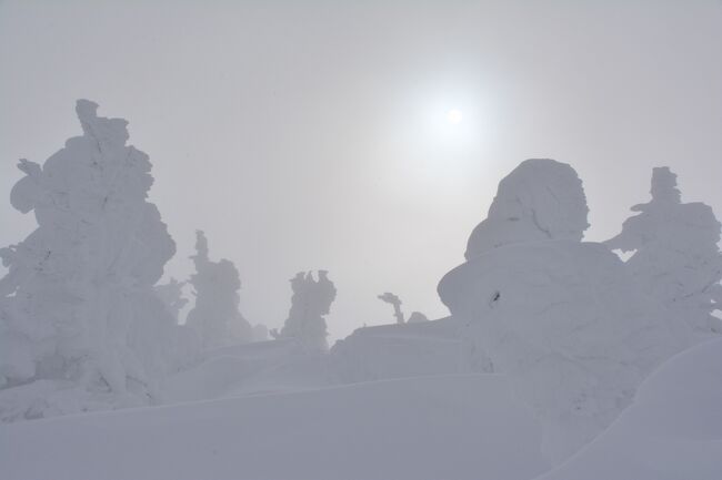 2年連続の正月蔵王山チャレンジ。<br /><br />今年も暴風雪で撤退。<br /><br />結果、去年と同じグルメ旅となる正月ルーティンの出来上がり。