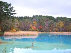 裏磐梯で紅葉狩り（１）～紅葉を愛でながら五色沼を歩く