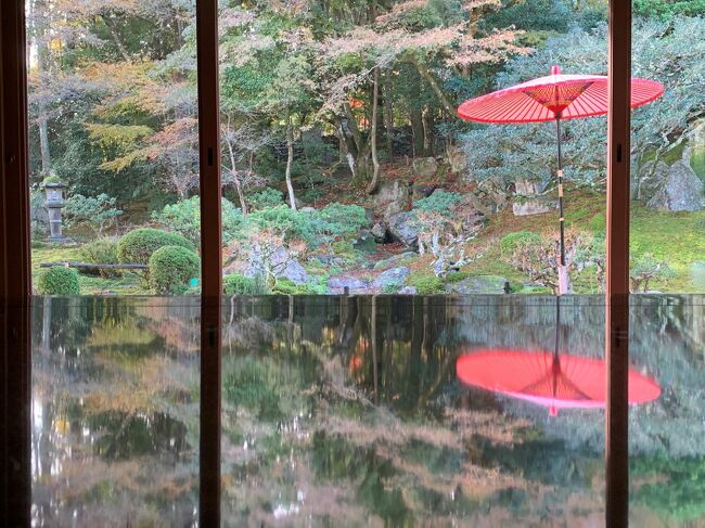 湖国の紅葉を巡る旅です、この日の午後は近江八幡の散策とフリータイムを過ごして大津の琵琶湖ホテルへ入ります。<br /><br />近江八幡の散策中に古民家レストランでランチを食べたのですが、写真を撮ったはずなのに無くしてしまった様です・゜・(ノД`)・゜・<br /><br />そして翌日の朝、旧竹林院でお抹茶を頂きましたヽ(´▽`)/
