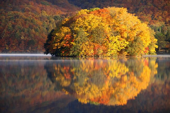 ☆福島県内の紅葉狩り第三弾は裏磐梯へ。<br /><br />裏磐梯は福島県観光の中心と言っても過言じゃないくらい<br />県内外から多くの観光客がお見えになります。<br />でもその多くは知名度の高い五色沼などをぱぱっと見たら<br />大内宿や磐梯吾妻スカイラインなど次の観光地に移動してしまいます。<br />裏磐梯は半地元の私でさえ1日ではとても全部は周りきれません。<br />かと言って翌週になれば紅葉の見頃は終わってしまうかも知れないので<br />叶うなら１，２泊してゆったりのんびり見て欲しいなと思います。<br /><br />今回紹介する曽原湖は私にとっては定番ですが<br />旅行会社の催行ではまず訪れない裏磐梯４湖で一番知名度の無い湖です。<br />大きさも一番小さいのですが<br />フォトジェニックさで言えば一番かも知れません。<br />周辺には他にも紅葉の美しい沼が幾つも点在し<br />写真好きならきっとあなた好みのスポットが見つかるはず。<br />初裏磐梯なら五色沼でいいと思いますが<br />２回目ならぜぜ曽原湖周辺の湖沼群をお勧めします。<br />