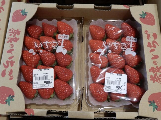 奈良県産イチゴの代表格「あすかルビー」と「古都華」<br />それに次ぐブランド品種が「珠姫」でしたが<br /><br />奈良県のイチゴ品種「奈良10号」が品種登録を出願を行っていて<br />2020年 12月 2日【奈乃華(なのか)】という名前に決まりました<br /><br />新たな奈良の “いちご” の誕生です!<br /><br />市場は奈良と大阪で、百貨店やAコープなどで買えますが<br />『JAならけん まほろばキッチン』だと奈良産の苺が色々揃っています<br /><br />『まほろばキッチン橿原店』は<br /> 最大級の売り場面積の農産物直売所なので苺の品揃えも豊富<br /> 産直レストラン、フードコート等もあってお勧めです<br /><br /><br />2~3年前の「古都華」がそうだったように<br />新人の「奈乃華」も現時点では奈良県内の限定された農家さんだけで栽培<br />生産者が少ないので、奈良以外では入手できません<br /><br />いちごが一番美味しい1月・2月<br />収穫されるまでの日数は、気温が低ければ低いほど長くなり<br />収穫されるまでの日数が長ければ、長いほど甘くなると教えてもらいました<br /><br />スーパーで買う苺が水っぽいのは<br />赤くなる前に収穫されるからなんですよね<br /><br />という事で今が “いちご”の美味しい時期 & 新人紹介も兼ねて<br />“いちご” 旅行記にしちゃいました<br /><br /><br /><br /><br />