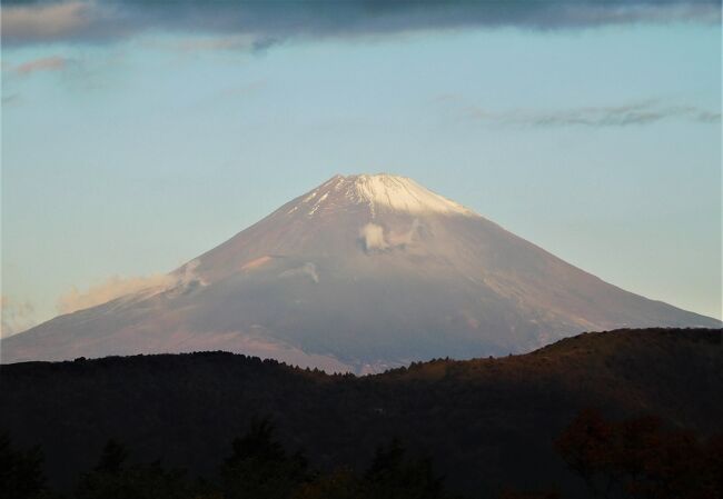 翌日の早朝、周辺を散歩する。<br /><br />富士山腹近い立地のため、お天気さえ良ければ雄大な景色が観れる。<br />ホテル自慢の露天風呂からも、たっぷりと眺められる。<br />日がな一日中、温泉三昧も良い。<br /><br /><br />でも、せっかくフリーパスを購入したのでロープウェイに乗って芦ノ湖まで出かけてみよう。<br />