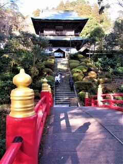 魅力度最下位の栃木県。2021年新春に雲岩寺へ那珂川で白鳥の姿を見ることができました。