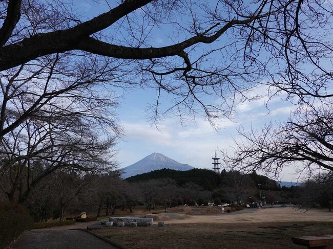 自転車と散歩で、岩本山公園を目指します。<br /><br />所  要  時  間 : 午前07時20分頃～午前10時30分頃(約3時間10分、寄り道時間も含む。)<br />自転車走行距離 : 約17km<br /><br />★富士市役所のHPです。<br />https://www.city.fuji.shizuoka.jp/<br /><br />
