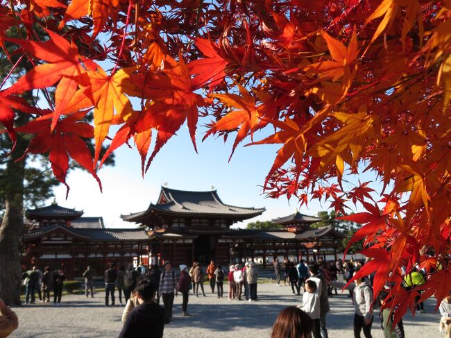 全国津々浦々色々と巡ってきましたが、実は京都の中でも古典にも登場する石清水八幡宮、宇治の平等院には行ったことがないということで、訪問しました。<br />今回は初乗車の石清水八幡宮参道ケーブル、一部区間が未乗であった京阪宇治線にも乗るという目標も達成できました。<br />