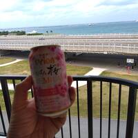 週末海を見ながらビールが飲みたくなって沖縄へ～1日目那覇市内ぶらぶら