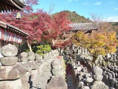 202011,gotoトラベルで京都,久しぶりの1人旅,お山にお邪魔します（1）