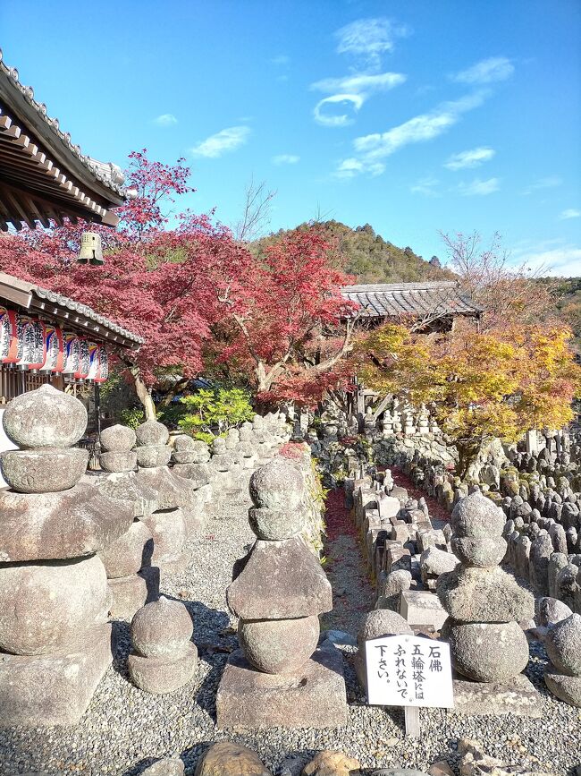 202011,gotoトラベルで京都,久しぶりの1人旅,お山にお邪魔します（1）