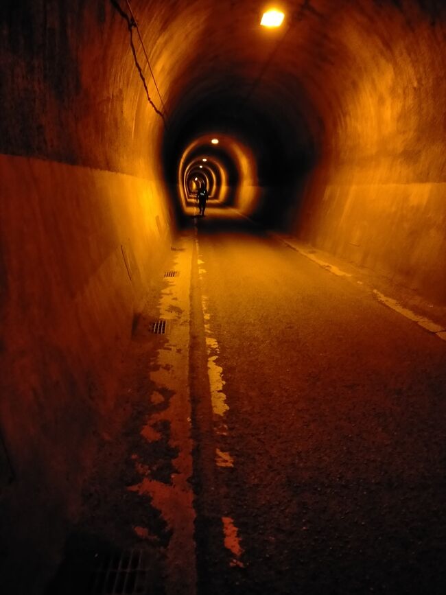京都旅行続き。<br />愛宕山に登ります。<br />何よりトンネルが怖かったです。。。<br /><br />裏参道→月輪寺→保津峡駅に下りてきました。