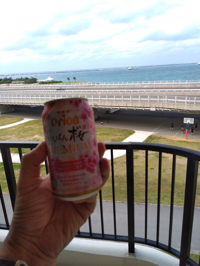 週末に海を見ながらビールが飲みたくなって<br />沖縄へ行ってきました。<br />他に控えめな!?街歩きと食目当てです。<br /><br />旅程<br /><br />1日目 NRT8:45発⇒OKA12:25着(MM503)<br /> 首里そば&赤とんぼで飯 <br /> その後ホテルで部屋呑み<br /><br />2日目 レンタカーで北部ぶらぶら<br /> OKA19:50発⇒NRT22:10着(GK308)<br /><br />旅費 航空券+ホテル \15,210<br /> (エアトリにて手配、支援金¥8,180値引あり)<br /><br /> レンタカー ¥3,800(スカイレンタカー)
