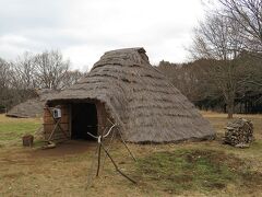 近場にちょこちょこお出かけ【加曾利貝塚博物館+鎌ケ谷市郷土資料館】