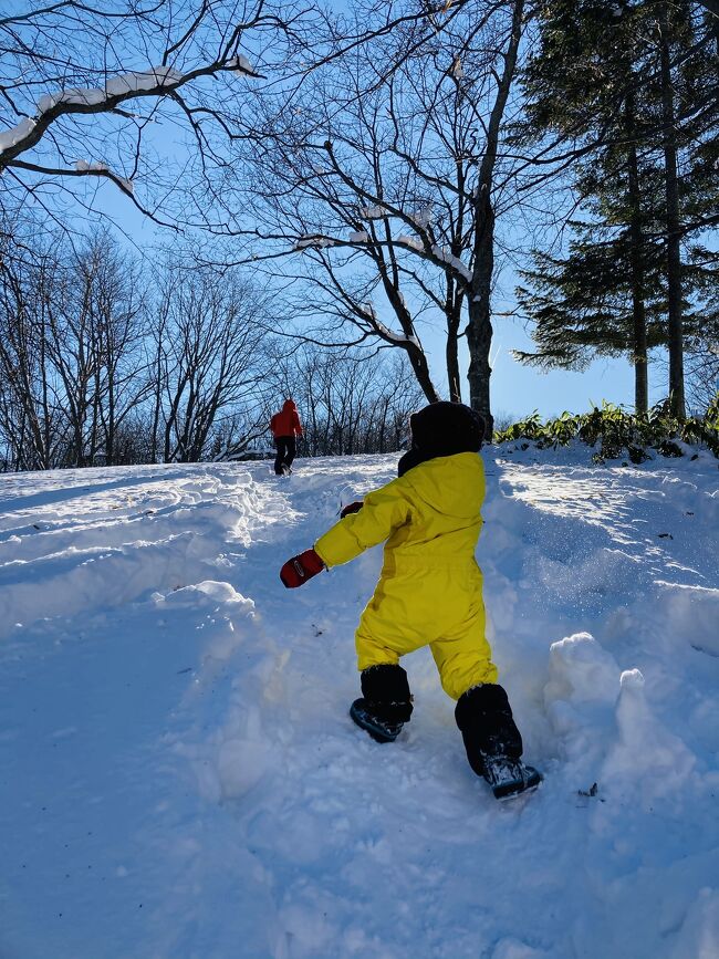 札幌芸術の森　雪の野外美術館で謎解き