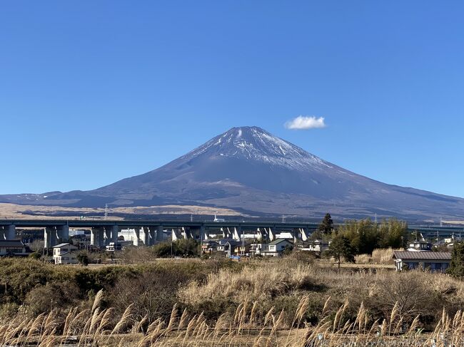 青春18きっぷの期限が少なくなり、残り1日分を使い切るために静岡側の富士山を見に行ってきました。