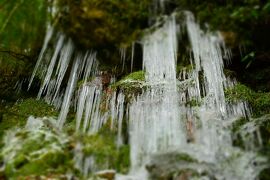 自然が作りだした氷の芸術品